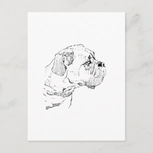 Boxer Dog  – Dog Lover Minimalist Illustration Postcard