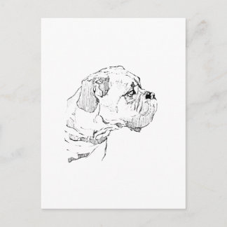 Boxer Dog – Dog Lover Minimalist Illustration Postcard