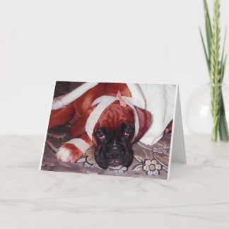 Boxer Dog 'Get Well Soon' Card