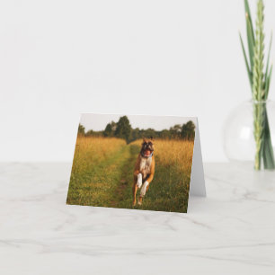 Boxer Dog Greeting Card