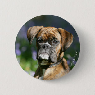 Boxer Dog Headshot 2 Inch Round Button