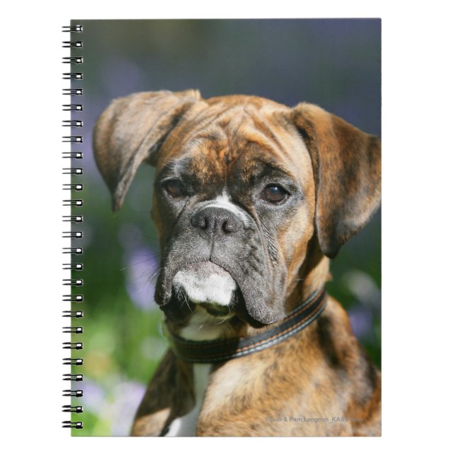 Boxer Dog Headshot Notebook (Front)