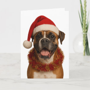 Boxer dog in Santa hat Christmas card