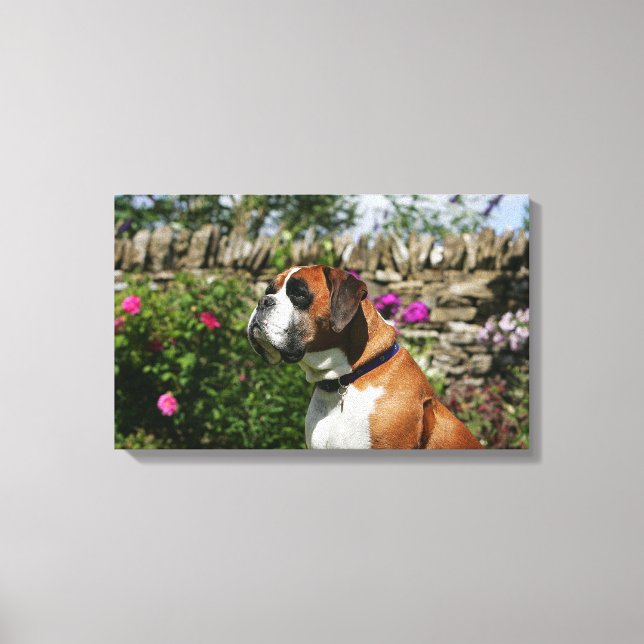 Boxer Dog in the Flowers Canvas Print (Front)