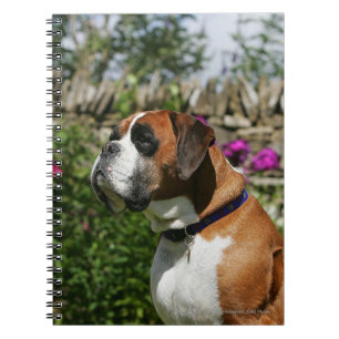 Boxer Dog in the Flowers Notebook