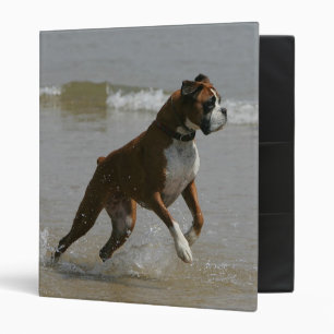 Boxer Dog in Water Binder