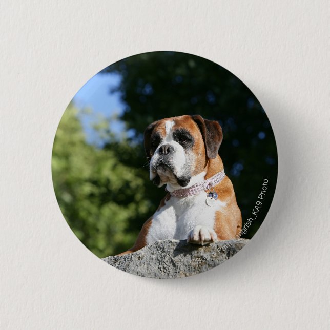Boxer Dog Laying on a Rock 2 Inch Round Button (Front)