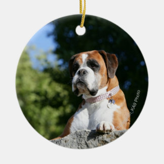 Boxer Dog Laying on a Rock Ceramic Ornament