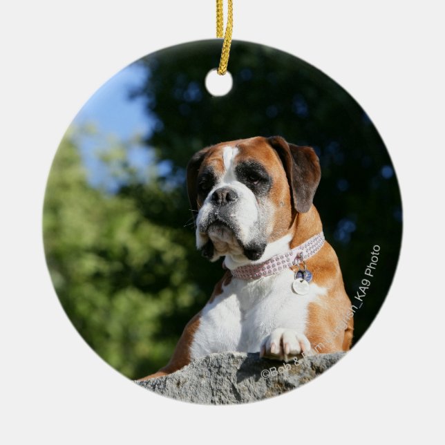 Boxer Dog Laying on a Rock Ceramic Ornament (Front)