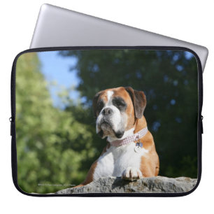Boxer Dog Laying on a Rock Laptop Sleeve