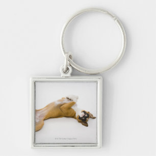 Boxer dog laying on her back on the floor keychain