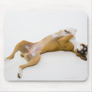 Boxer dog laying on her back on the floor mouse pad
