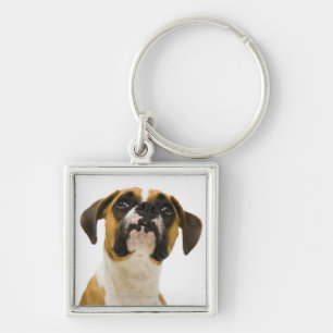 Boxer dog looking up keychain