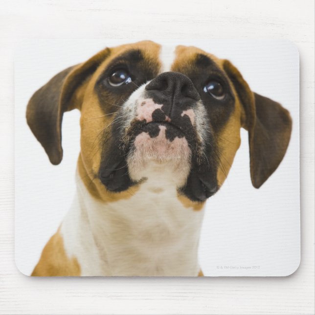 Boxer dog looking up mouse pad (Front)