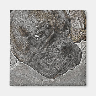 Boxer Dog Magnet
