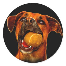 Boxer Dog Modern Art