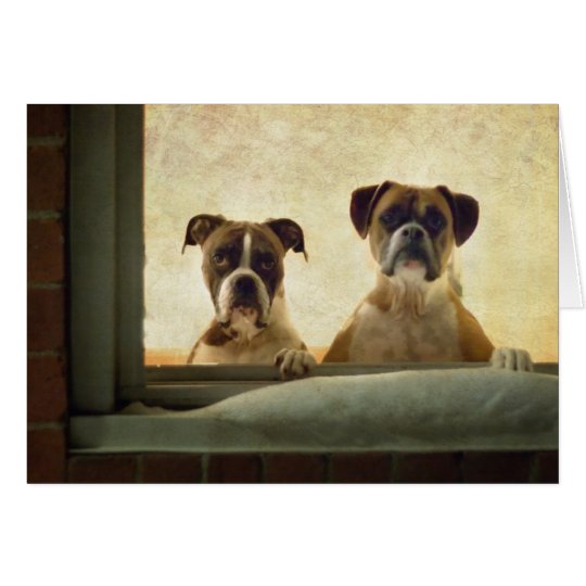 Boxer Dog Note Card - Christmas or Greeting Card