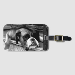 Boxer Dog On Windowsill bc ltcna Luggage Tag