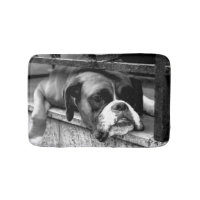 Boxer Dog On Windowsill bmcnm