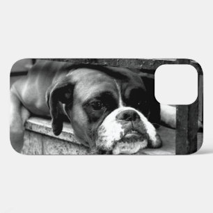 Boxer Dog On Windowsill ipha iPhone 12 Case