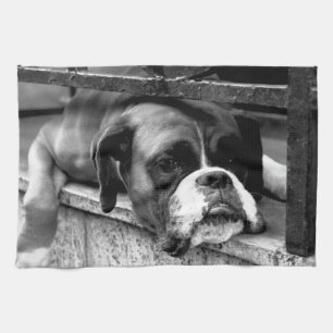 Boxer Dog On Windowsill ktcnm Kitchen Towel