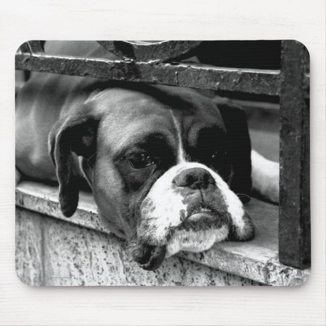Boxer Dog On Windowsill mpcnm Mouse Pad (Front)