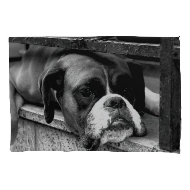Boxer Dog On Windowsill pccna Pillowcase (Front)