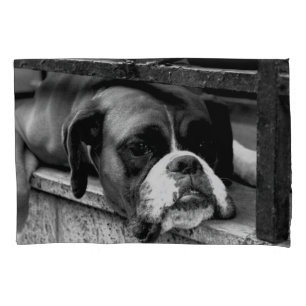 Boxer Dog On Windowsill pccnm Pillowcase