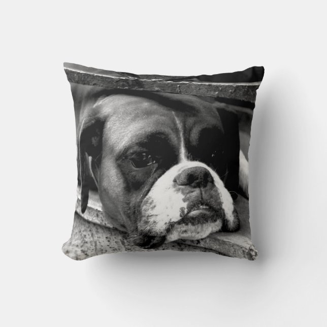 Boxer Dog On Windowsill tpcna Throw Pillow (Front)