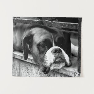 Boxer Dog On Windowsill wtcna Tapestry