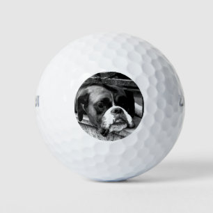 Boxer Dog On Windowsill wu gbcna Golf Balls