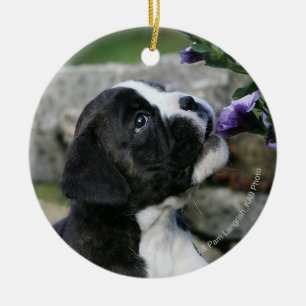 Boxer Dog Panting Ceramic Ornament