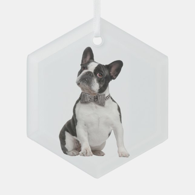 Boxer Dog Pet Animal  Glass Ornament (Front)