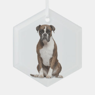Boxer Dog Pet Animal  Glass Ornament