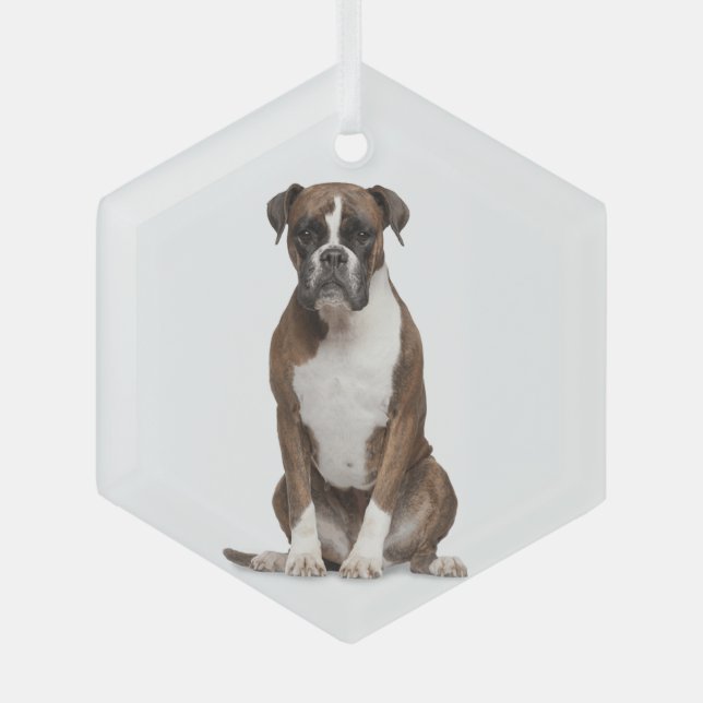 Boxer Dog Pet Animal  Glass Ornament (Front)