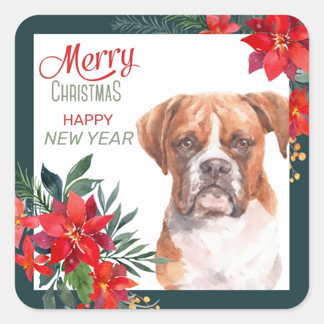 Boxer Dog Poinsettia Border Christmas Square Sticker (Front)