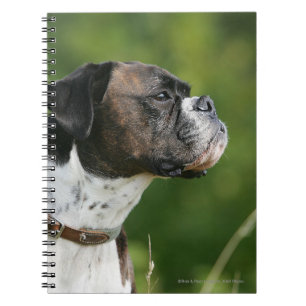 Boxer Dog Profile Notebook
