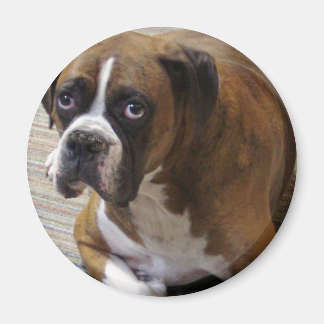 Boxer Dog Round Magnet (Front)