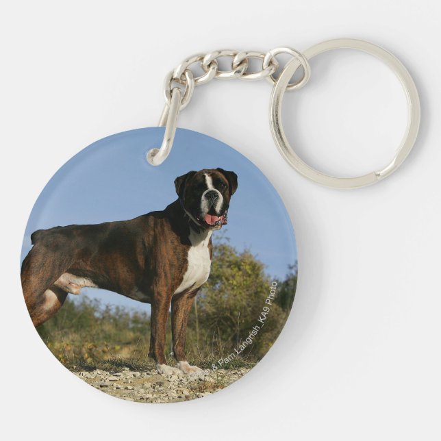 Boxer Dog Show Stance Keychain (Back)