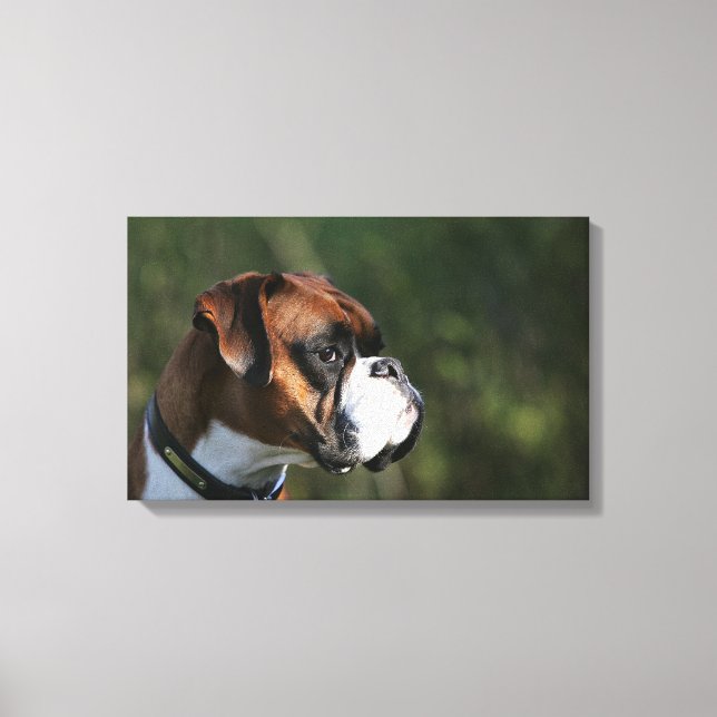 Boxer Dog Side Profile Canvas Print (Front)