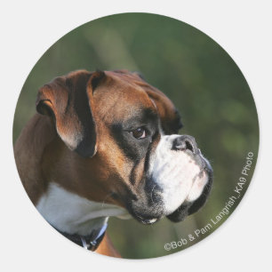 Boxer Dog Side Profile Classic Round Sticker