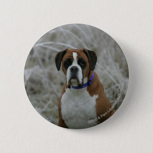 Boxer Dog Sitting in the Frost 2 Inch Round Button (Front)