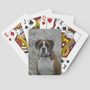 Boxer Dog Sitting in the Frost Playing Cards