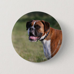 Boxer Dog Standing 2 Inch Round Button