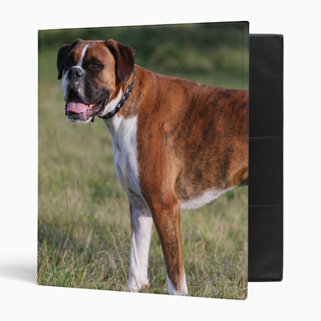 Boxer Dog Standing Binder (Front/Inside)