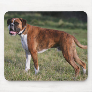 Boxer Dog Standing Mouse Pad