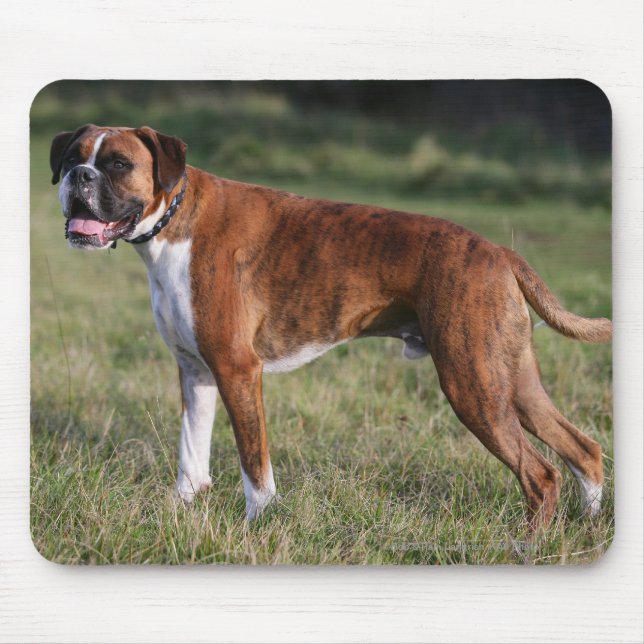Boxer Dog Standing Mouse Pad (Front)