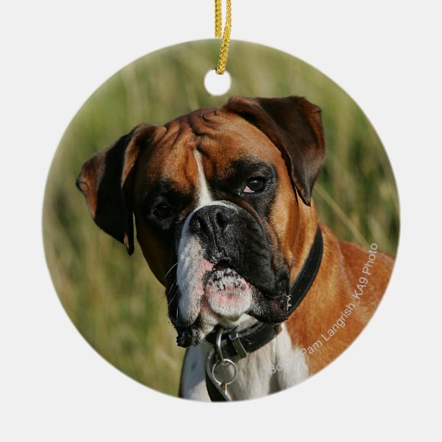 Boxer Dog Staring at Camera Ceramic Ornament (Front)