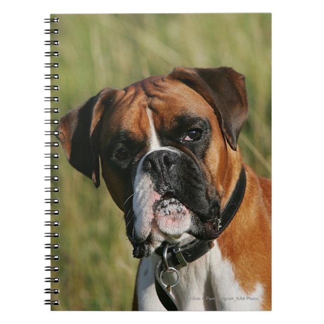 Boxer Dog Staring at Camera Notebook (Front)
