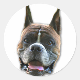Boxer dog stickers
